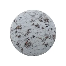 Snow with forest litter 2